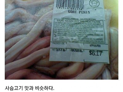 식품으로 유통되는 다양한 꼬추 모음.jpg