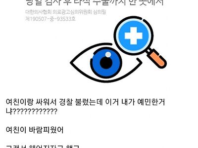 바람핀 여친이랑 싸우고 경찰 부른 디시인