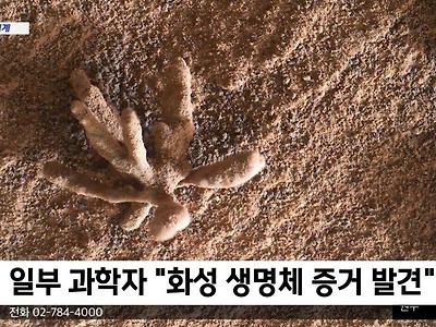 일부 과학자 "화성 생명체 증거 발견. 사진에 찍혔다."