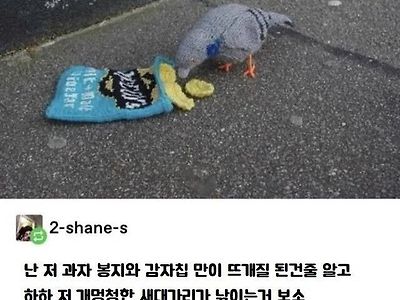 ??? : 저 새대가리