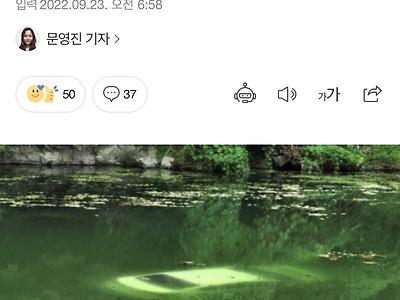 기어 착각해 후진하다 물에 빠진 女운전자..CCTV에 담긴 의인 모습 "쿨하네"