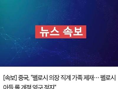 중국 펠로시직계가족 제재