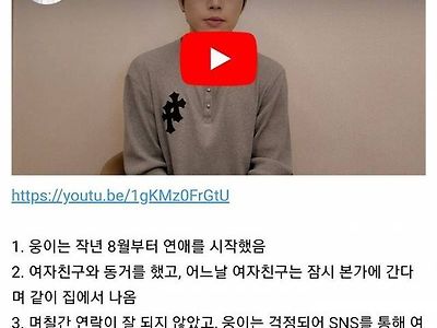 100만 유튜버 웅이 범죄혐의 해명 요약
