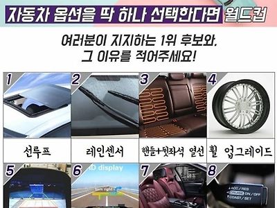 자동차옵션 월드컵