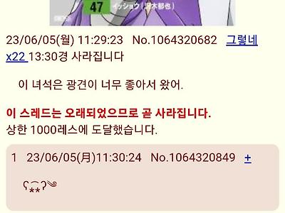 원피스(스포) 요즘 일본에서 후지토라 취급