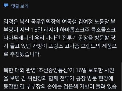 "북한 김여정 7천 달러 명품 가방 소지"