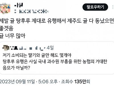 제주도에 귤이 너무 많아 탕후루 유행하라는 제주도민