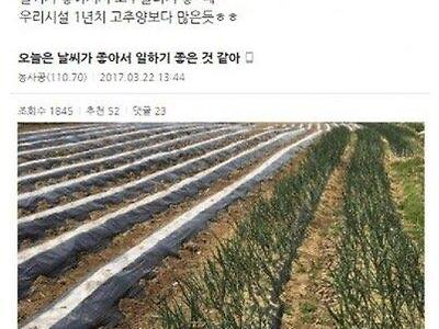 전설의 레전드 농사 공익.jpg