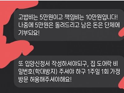 길냥이 납치 후 분양한 캣맘 근황