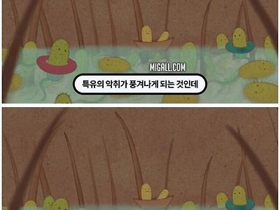 한국인이 암내가 안나는 이유..jpg