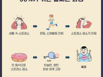 95%가 겪는 살찌는 과정