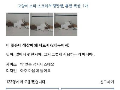 뭔가 이상한 고양이 스크래처 구매후기