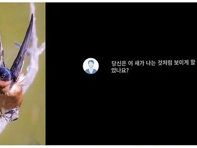포토샵 능력자