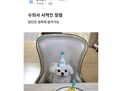 수의사 장점