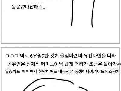 메갈페미에 잠식된 누나를 치료시킨 남동생