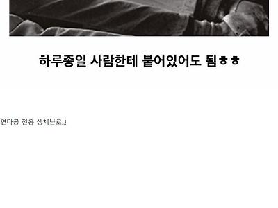 20세기 초 댕댕이들의 이색직업