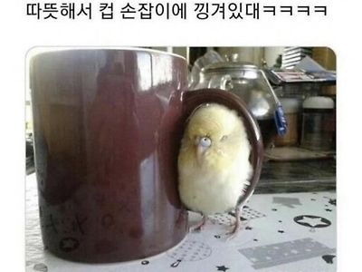 딱 맞아