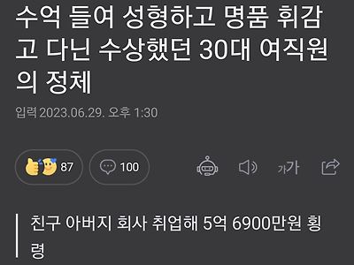 30대 명품녀... 수사결과 횡령범 ㄷㄷ.jpg