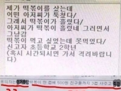 어느 초등학생이 112에 신고한 내용