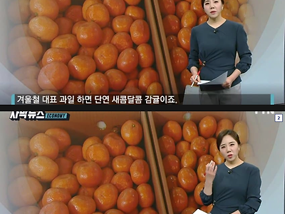 마트 갔다가 두눈을 의심케한 귤 가격