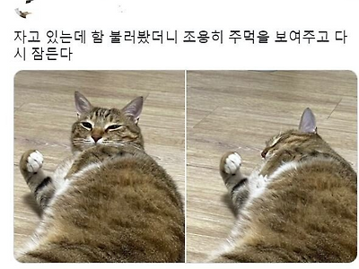 건들면 맞음