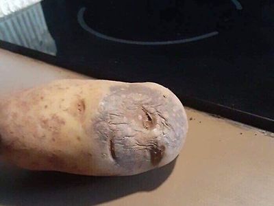 알등이의  처절한 절규