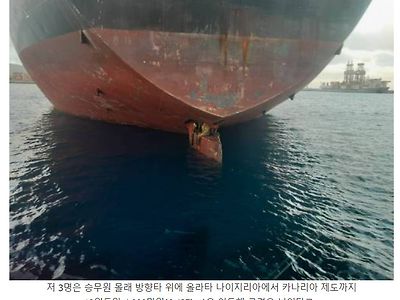 생각치도 못한 방법으로 국경을 넘은 밀항자