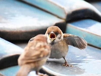 "한번만 더 그놈 얘기 꺼내기만해봐!!"