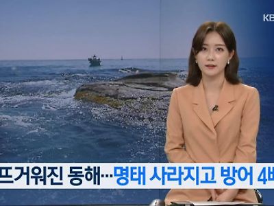 열받아서 방어력이 4배로 올라간 동해