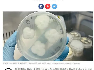 환경 파괴의 주범, 플라스틱 처리 방법 발견.jpg