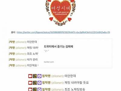 침착맨 뉴진스 합방 채팅금지에 화난 여시회원들