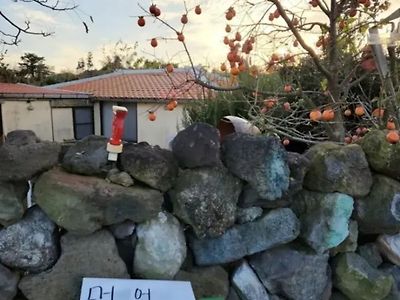 제주도의 쿨한 인심.JPG