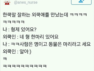 한쿡말 잘하는 외쿡애를 만났는데