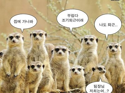 현 시각 직장인 사무실 상황