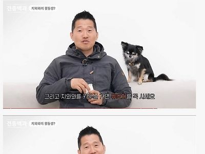 강형욱이 산책 많이 시키지말라는 견종.jpg