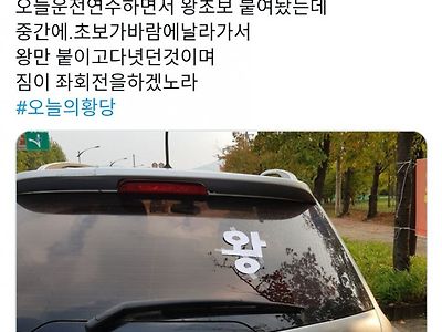 운전 연습하다 급격한 신분 상승을 이룸