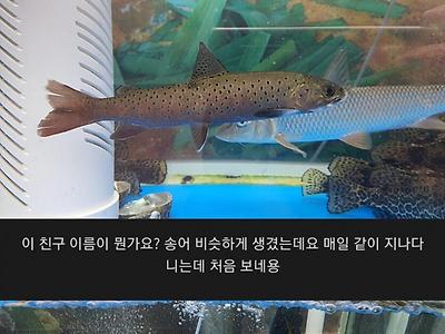 2500만원짜리 매운탕