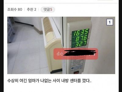 리얼돌 구매했다가 엄마한테 걸린 디씨인