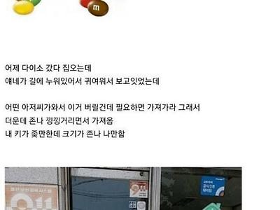 동네 마트에서 버린 인형 주워온 30대 남자