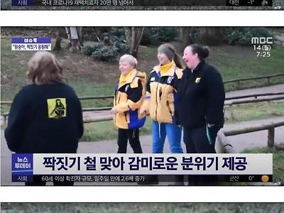 영국의 짝짓기 응원