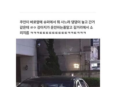 운전하는 개본 썰 외