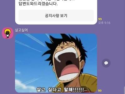 낙태 단톡방