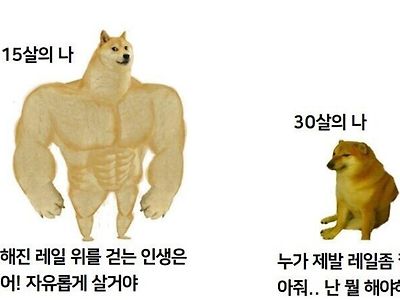 30대가 공감하는 짤