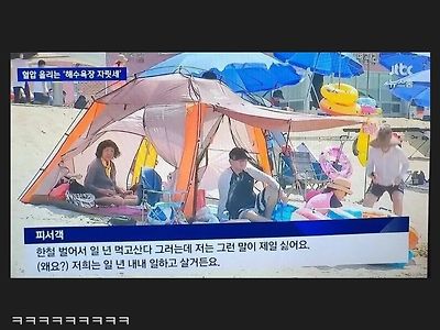 여름 한철장사에 대한 피서객 일침 甲