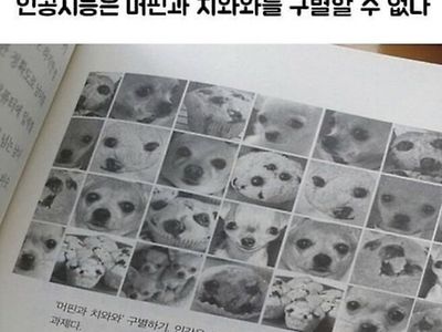 머핀과 치와와