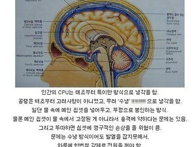 인간이 CPU를 냉각시키는 방법.jpg