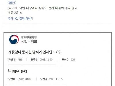 국가에서 인정한 욕설