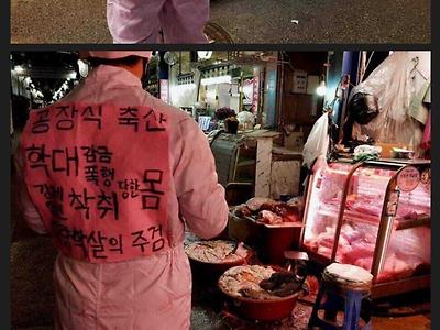 드디어 마장동에 간 동물시위...