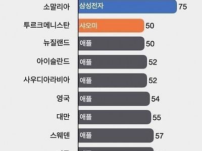 국가별 50퍼 넘는 스마트폰 브랜드
