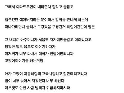 믿거나 말거나 디시인의 아파트 단지 실종 사건